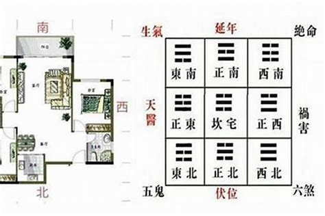 青龙位在哪里|道彦风水先生：青龙、白虎两方位的风水法则及避开方位煞气